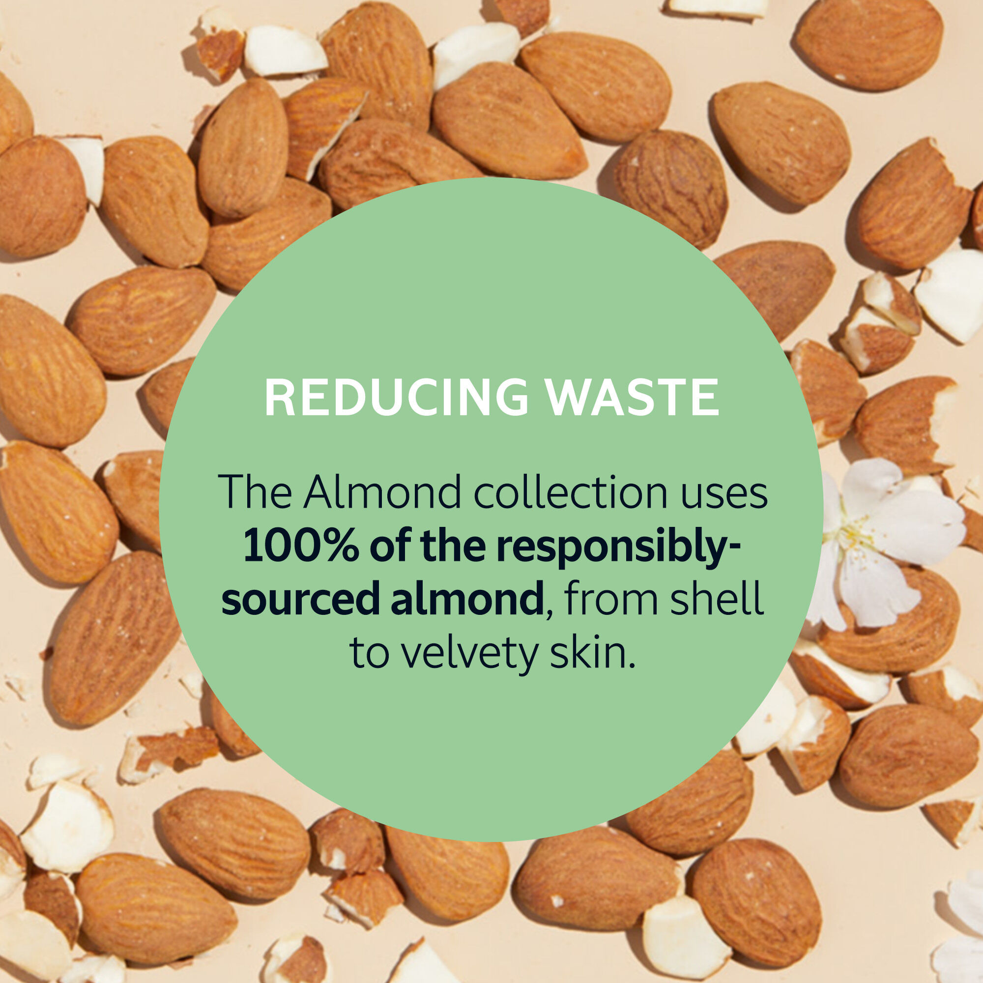 Almond Milk Concentrate Refill