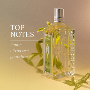 Fragrance Collection | Perfumes & Fragrances for Men & Women | L 