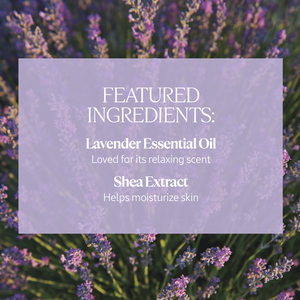 Shea Lavender Hands & Body Liquid Soap Refill 16.9 fl. oz | L’Occitane en Provence