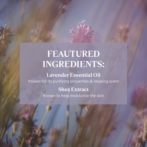 Shea Hands & Body Lavender Liquid Soap | L'Occitane