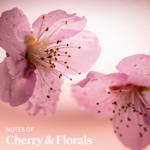 Cherry Blossom Hand Cream 1 oz | L’Occitane en Provence